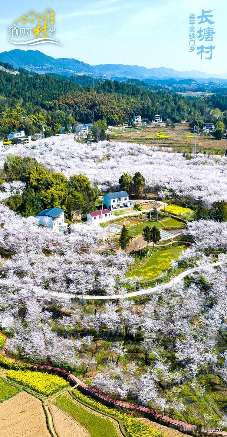 城乡融合的重庆密码：各出一道菜，凑成一桌席

一些地方搞城乡统筹，路子走歪了——