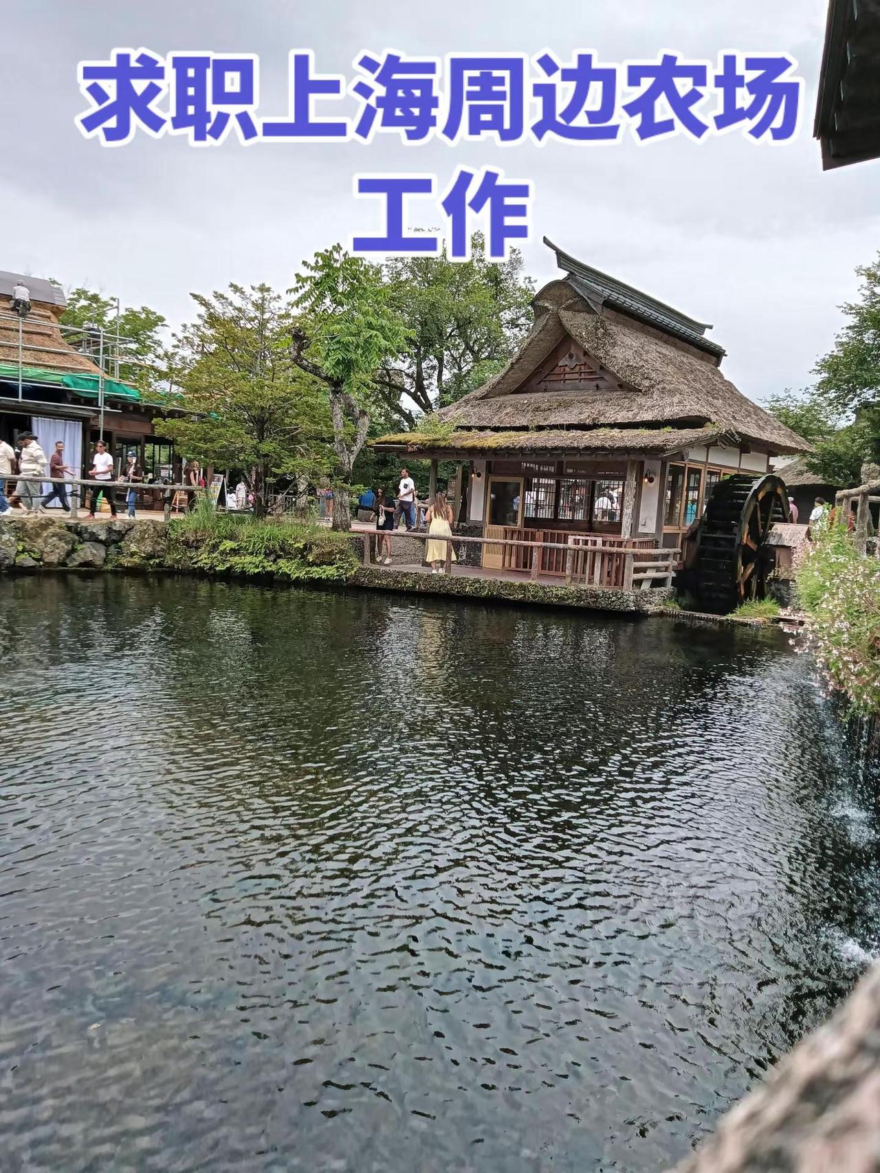 沪漂。圆我种地梦想