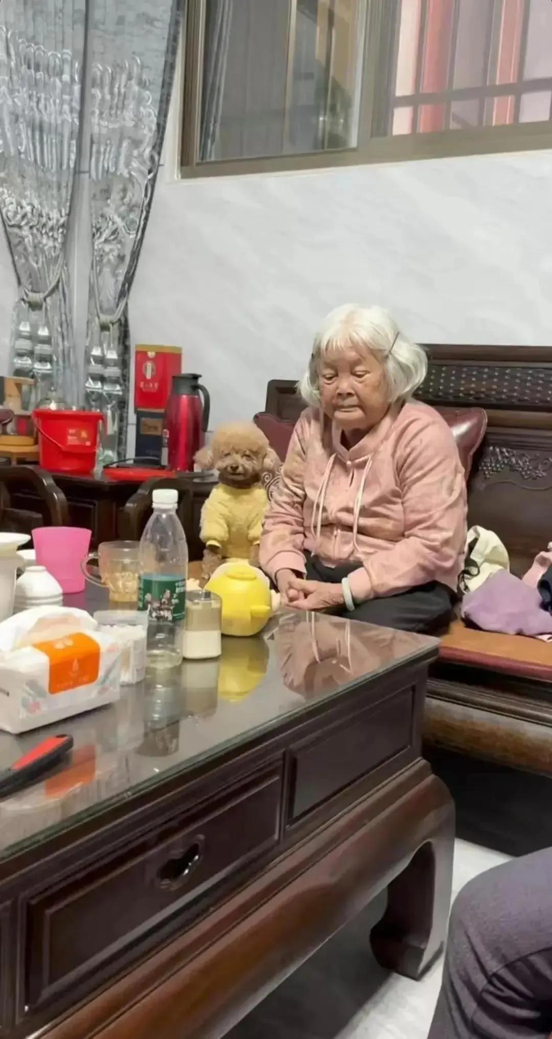 果然谁带的毛孩子表情跟谁一样！