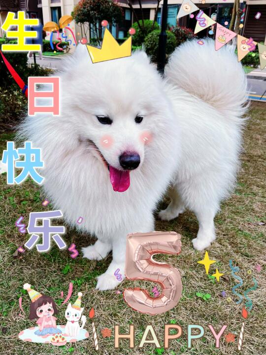 各位叔叔姨姨祝我生日快乐吧！🎈