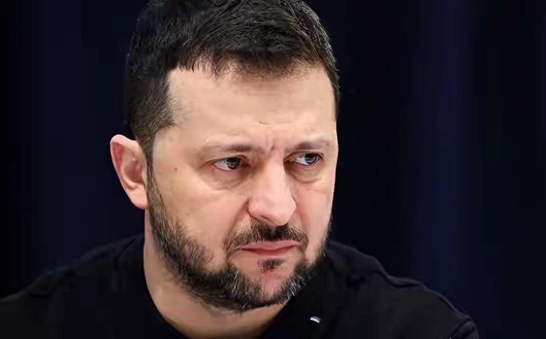 短短几天，形势千变万化俄美乌合平谈判，泽连斯宣布在十天内签署协议

2025年1