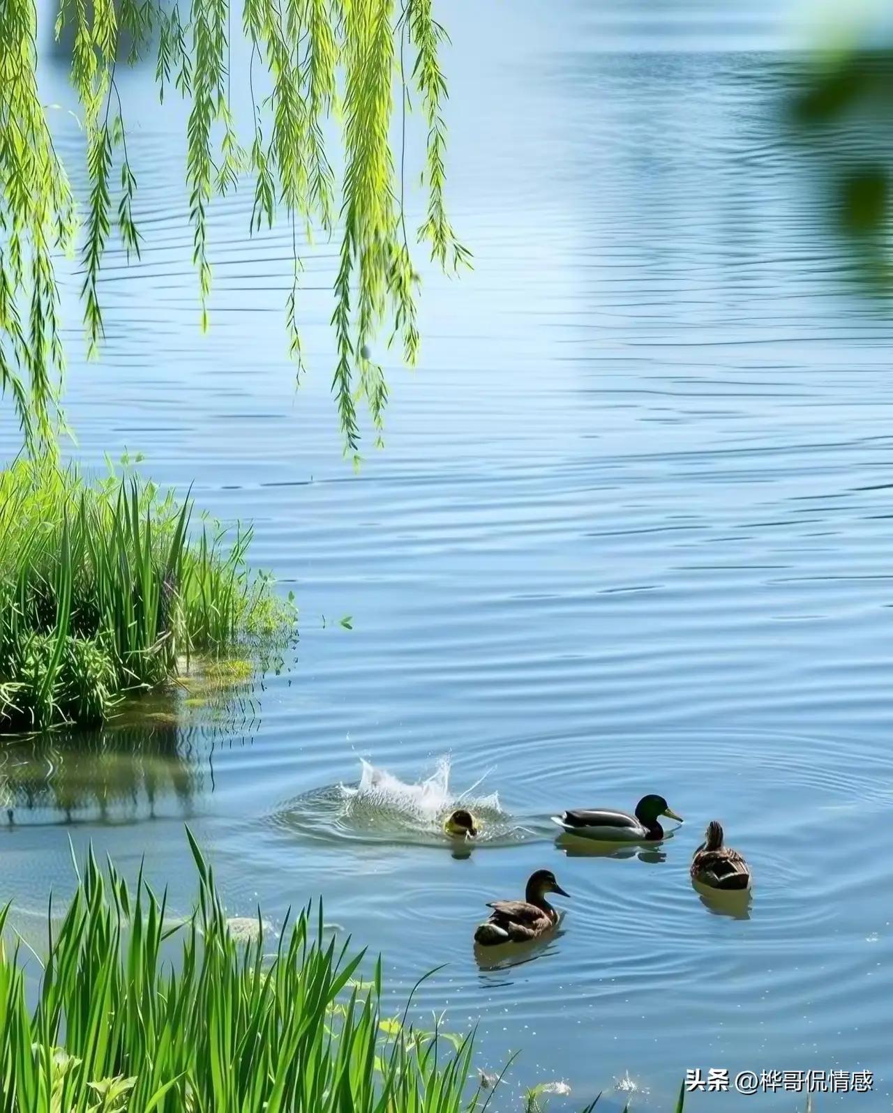 孤岛不孤：守好边界，方得自在

今儿咱们单说一桩发生在喧嚣尘世里的“人性迷局”。