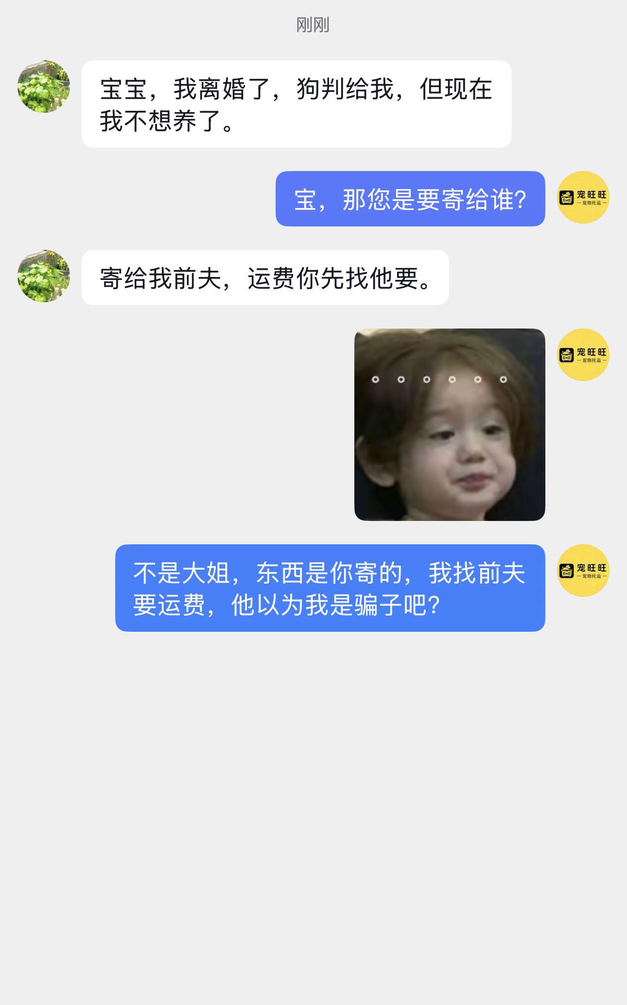 离婚寄狗，还让我找前夫收钱。