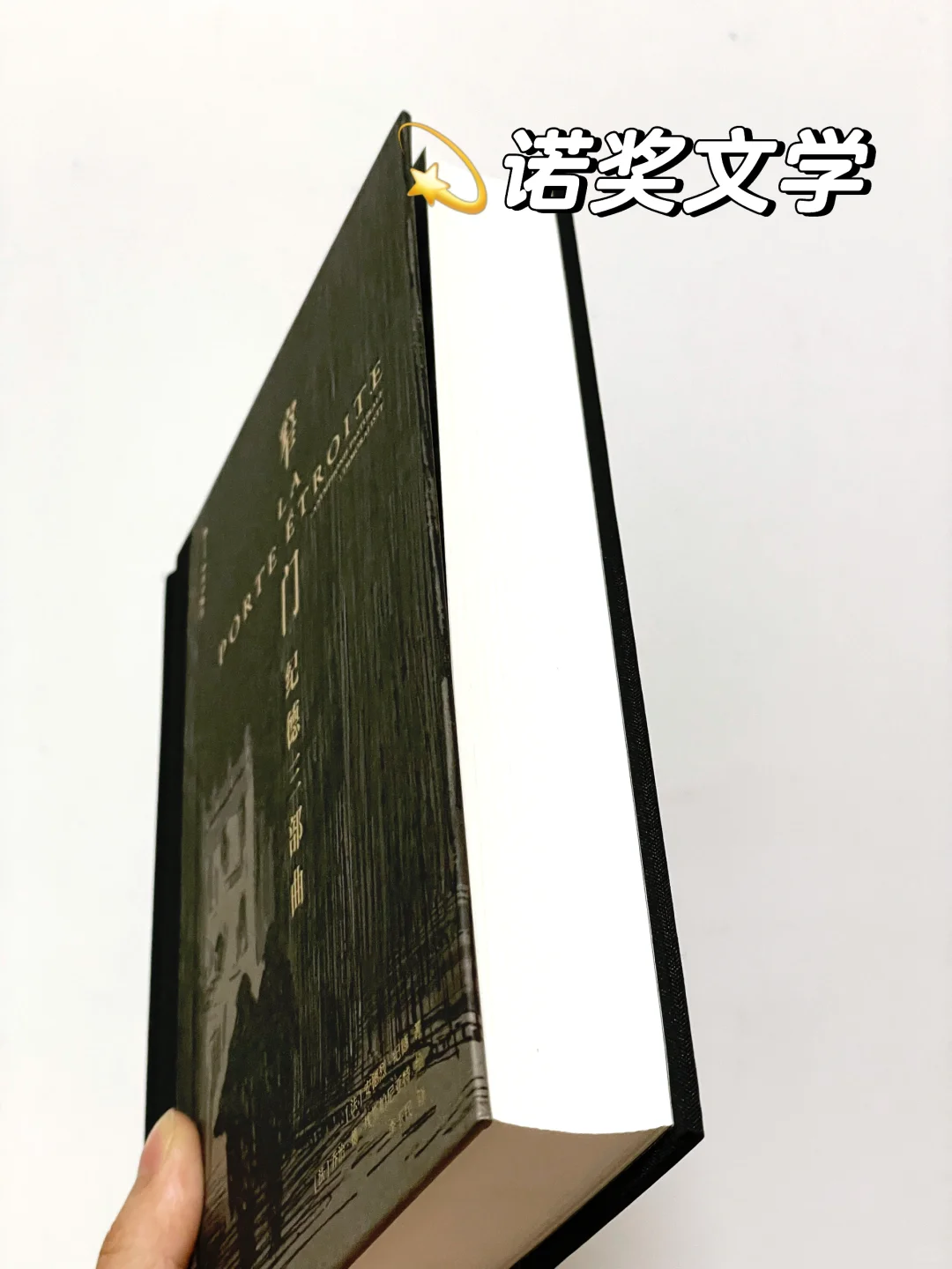 震碎三观❗️今年读到蕞震撼、蕞变态的一本书！