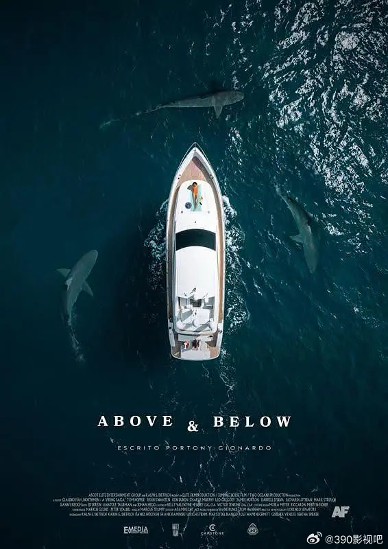 HD1080P流媒体正式版！鲨笼绝境 Above and Below (2026