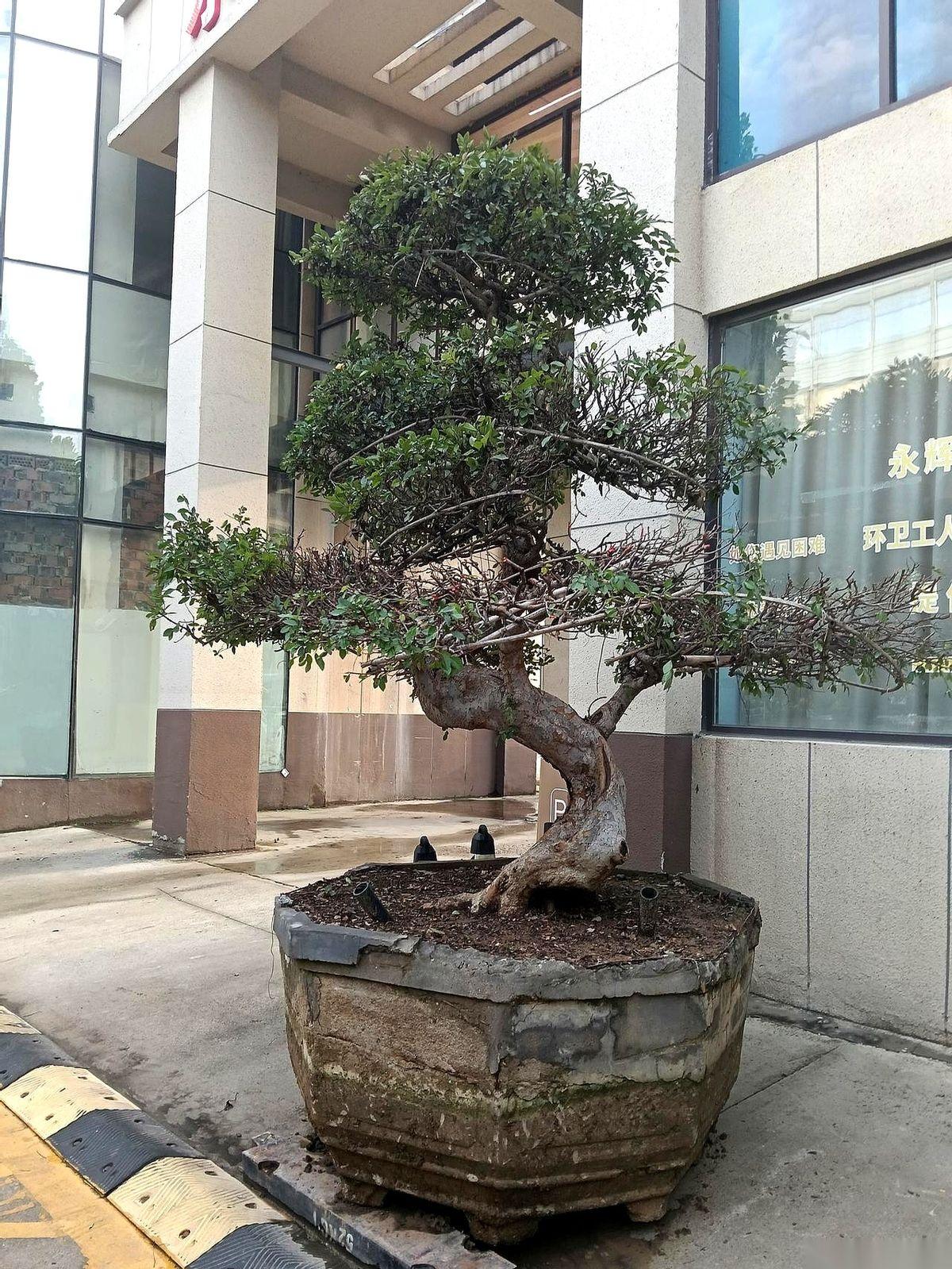 “再哭就把你扔出去！”
“我不要你了！”
“真想打死你……”
这些话，是不是感觉