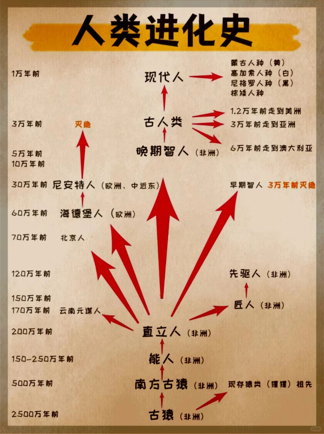 人类进化史