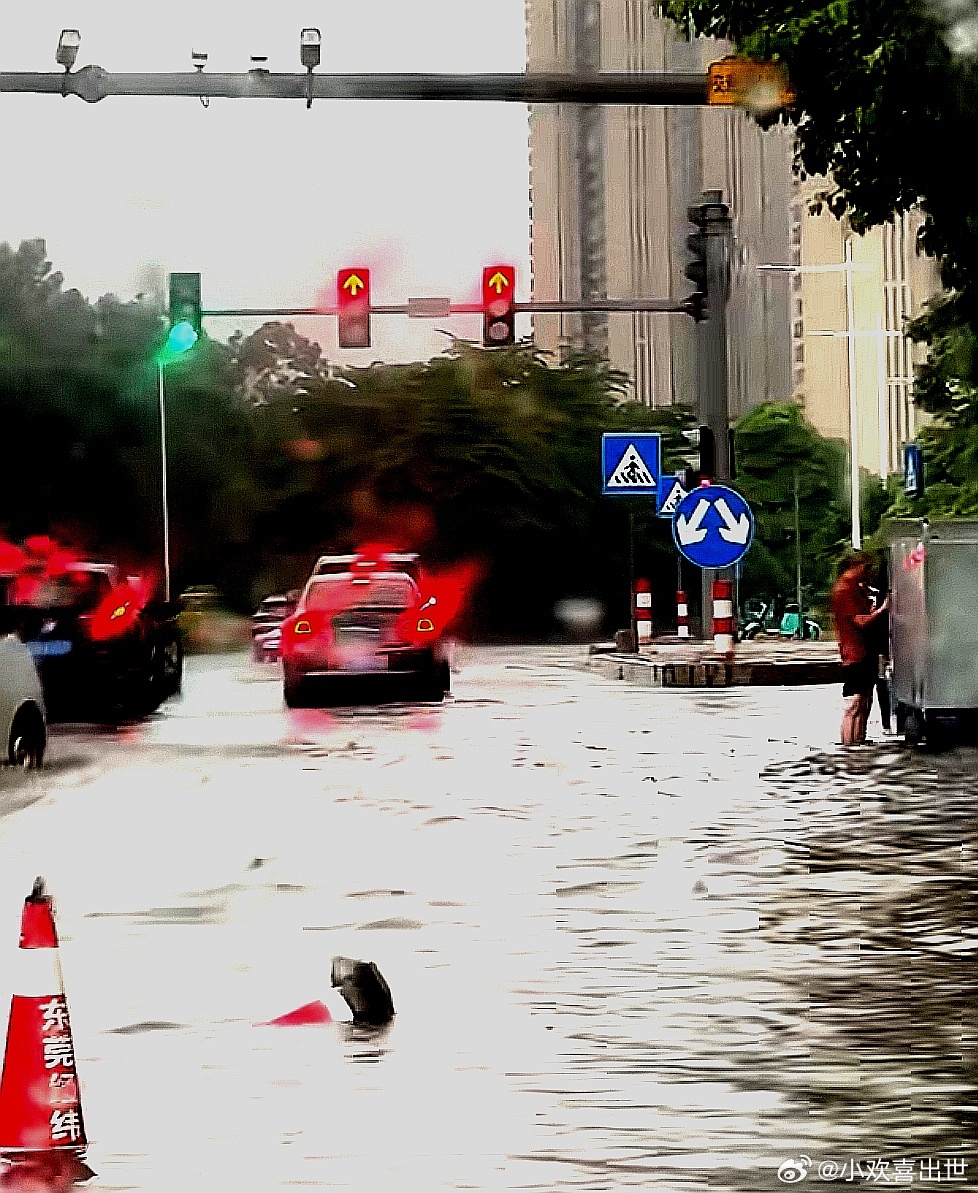 特大暴雨过后，到处都是㓎水街，这样下去满街就全是泡水车了 
