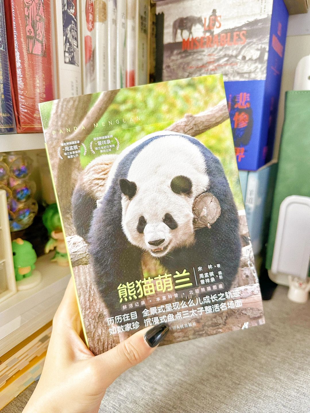 萌化！谁家好人能拒绝这么可爱的大熊猫啊！