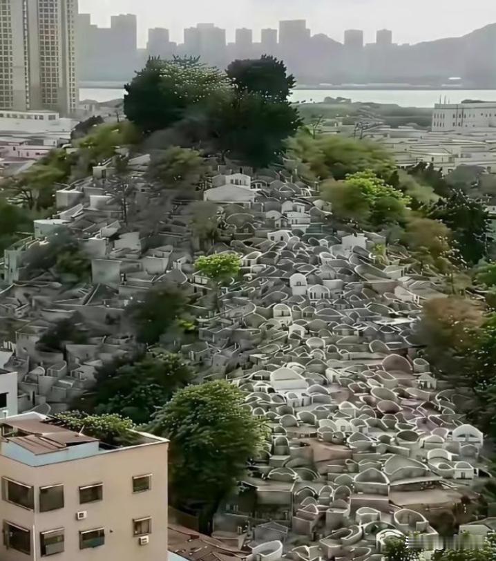 华夏文明绵延五千载，数十亿先人长眠大地，却从未出现坟冢挤占良田的困境。反观当下，