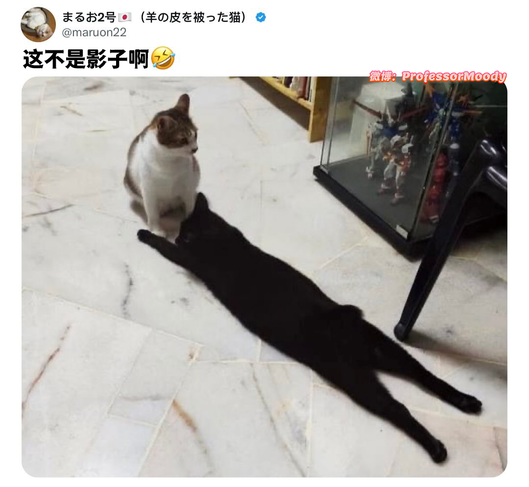 我来看看👀#meme# /#笑料江湖争霸赛# ​​​