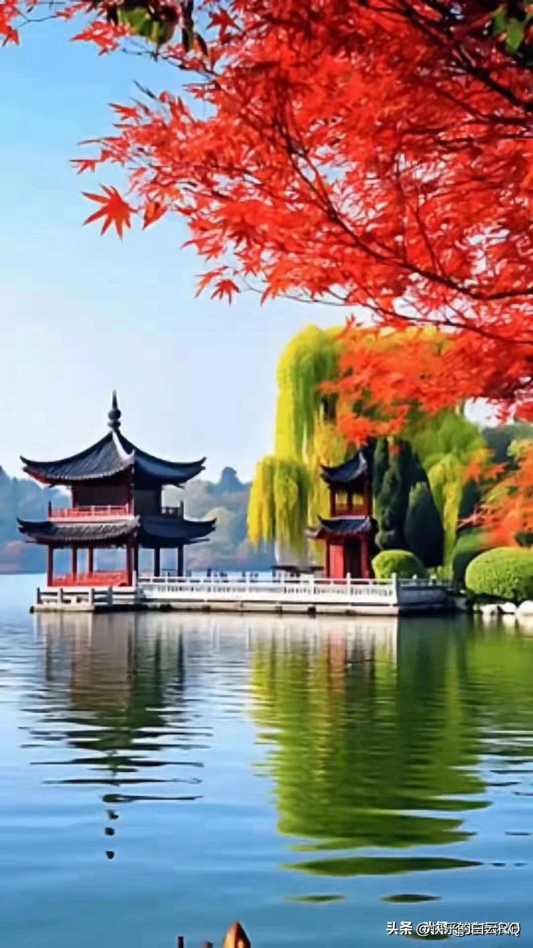 说得好！
不吃苦，
那知甜！！[呲牙][呲牙][呲牙][比心][比心]‼️//@