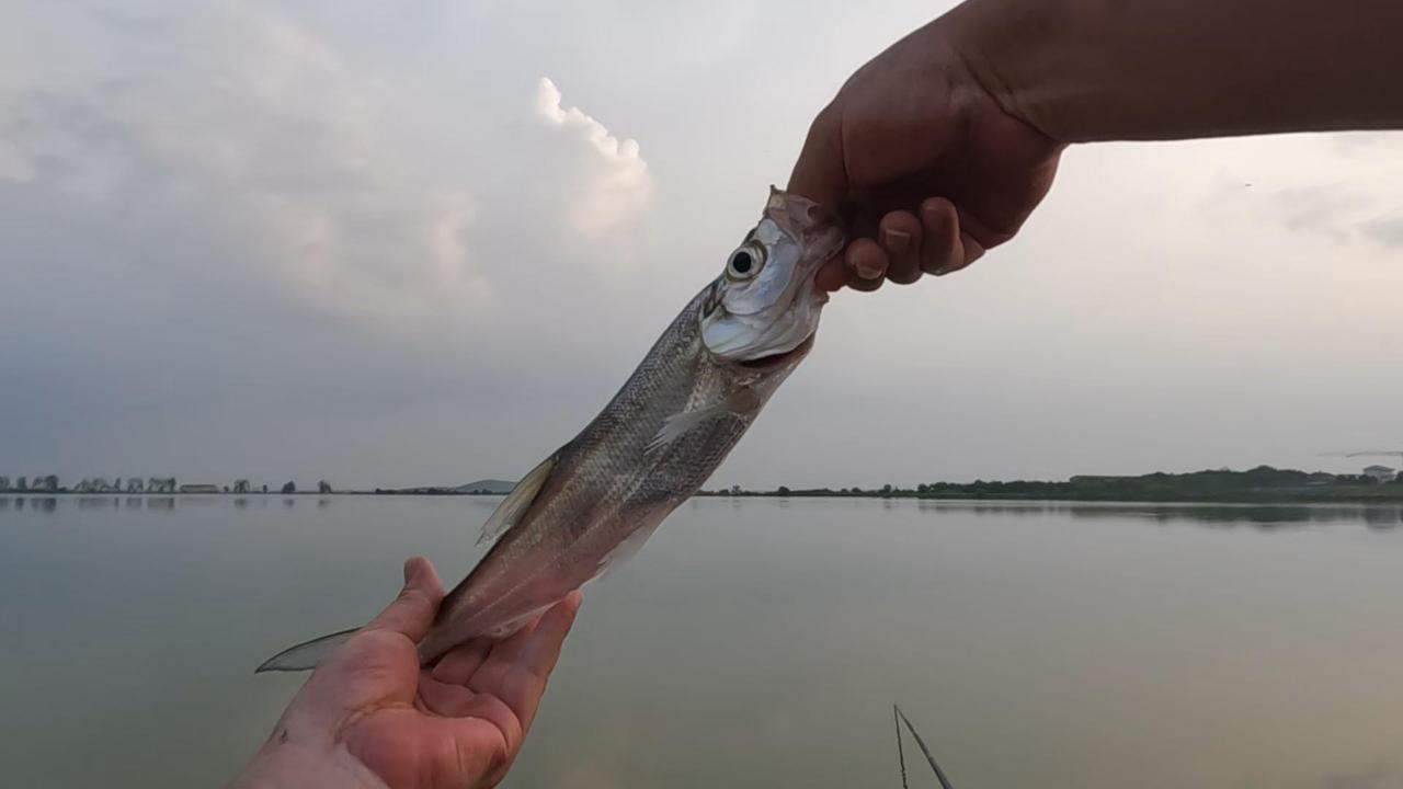 钓翘嘴的一点心得。1、夜钓用灯比用漂效果明显。

2、找水层不用反复撸漂，水深足