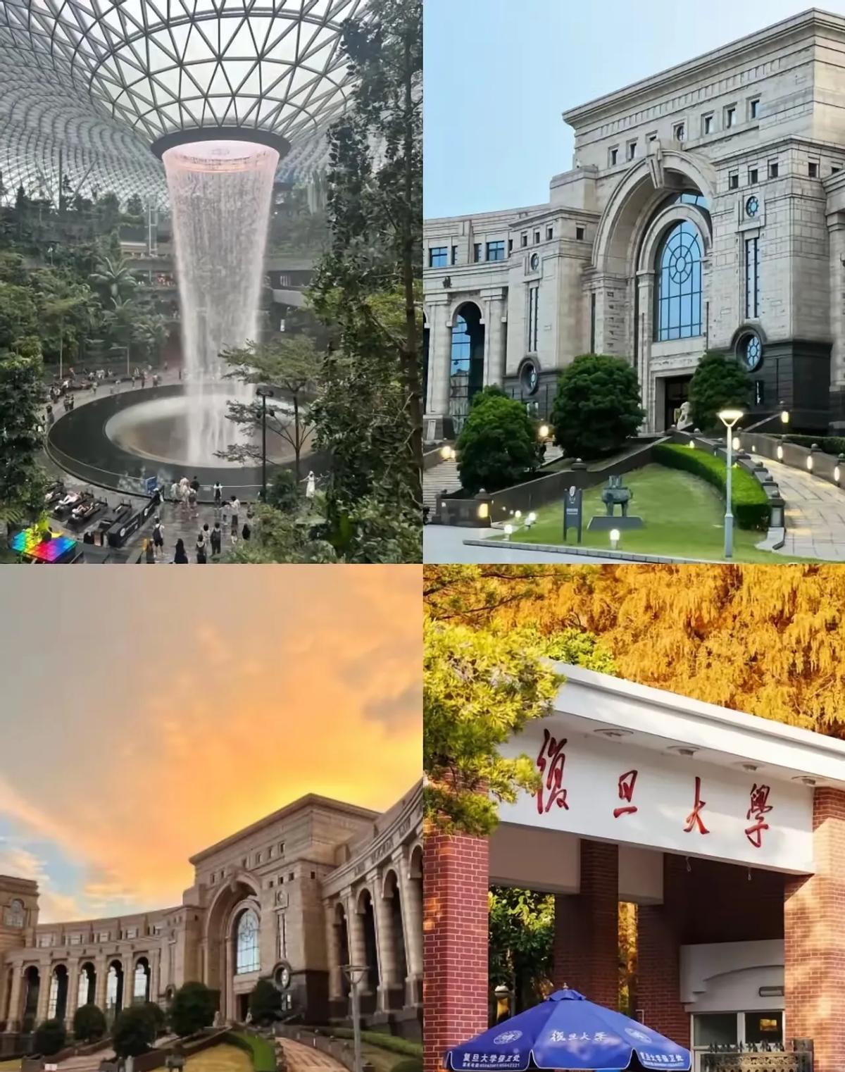 复旦学生校内被打，施暴者直接飞走

监控全录下，学校却沉默

挨打的是复旦大四学