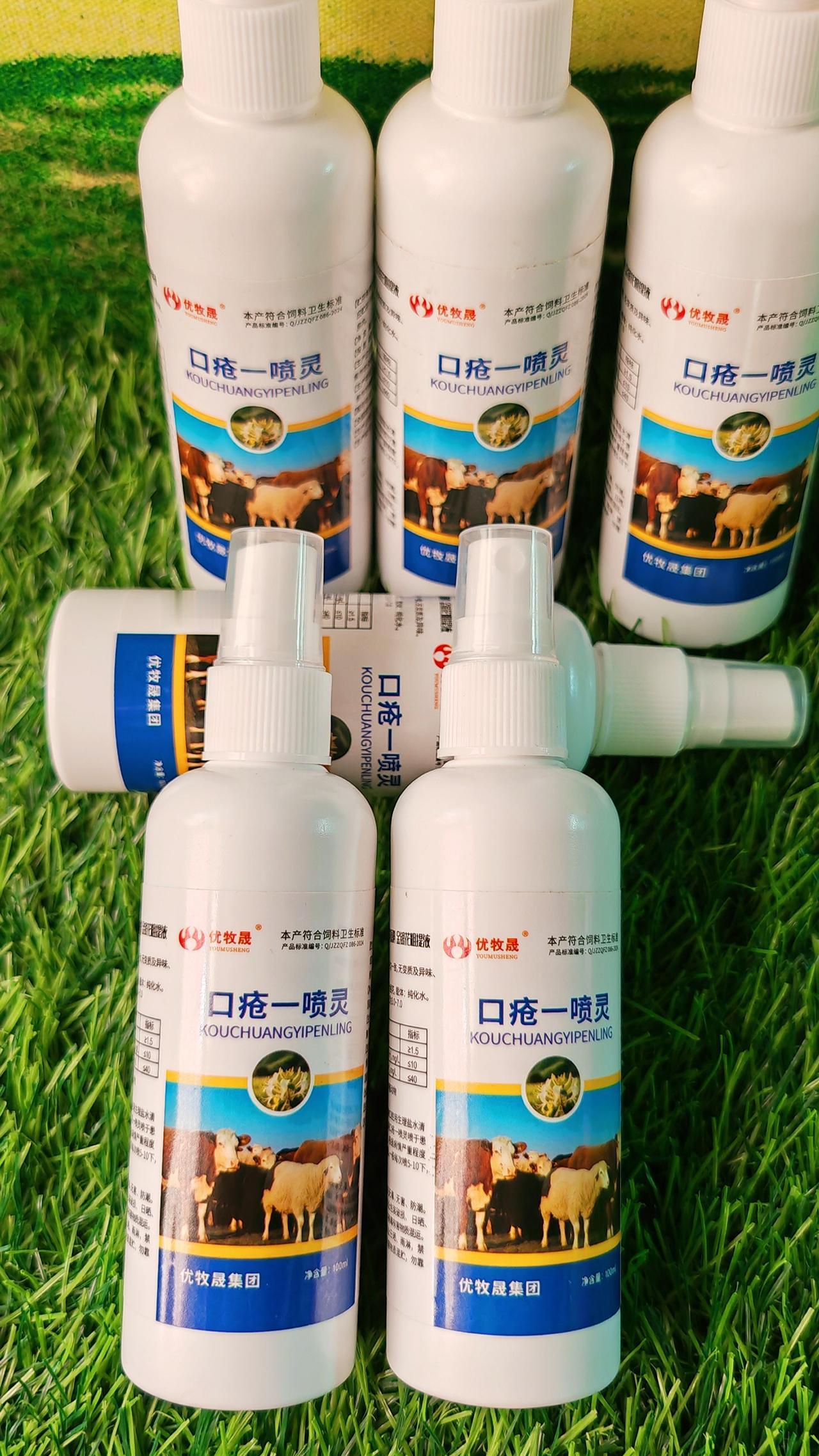 养羊人 牛羊养殖 农村养羊