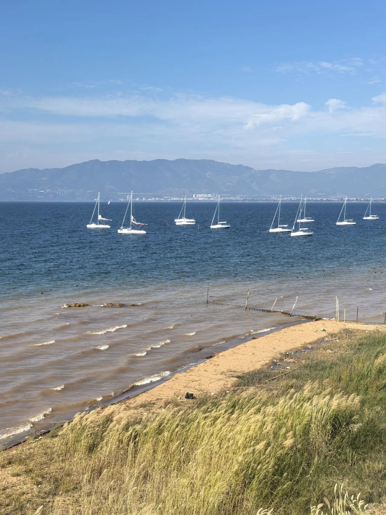 有大事情要发生？明天早上9点，特朗普要发表电视讲话，现在正是美伊战争期间，特朗普