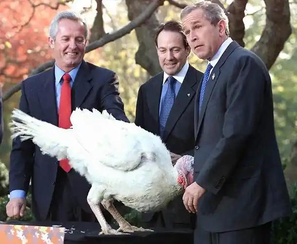 特朗普白宫赦免火鸡一幕引全场爆笑特朗普宣布赦免火鸡、火鸡咯咯应答谢恩[笑哭]当年