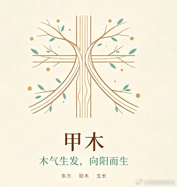 甲木。福报因果 五行 易经 ​​​