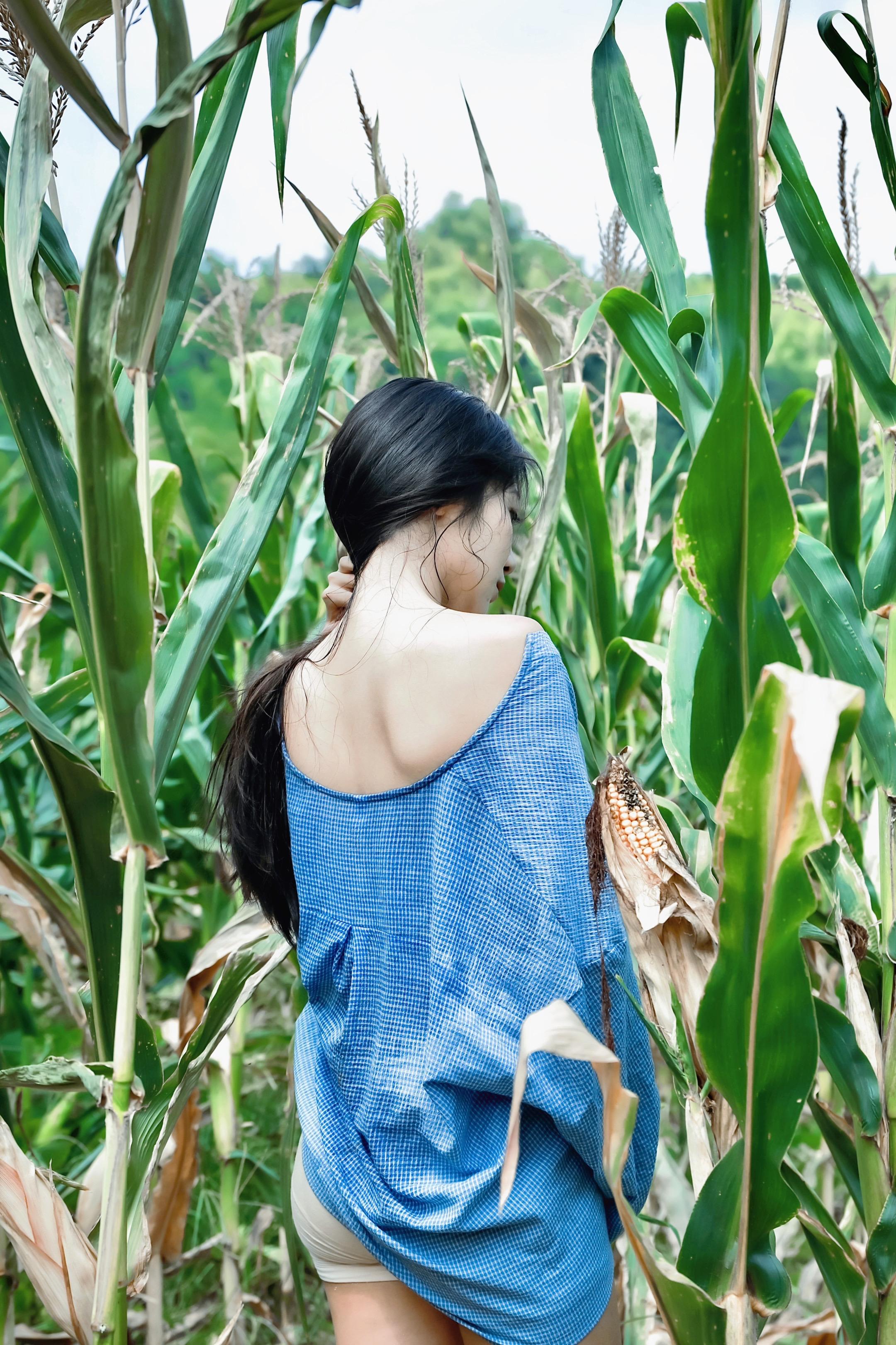 阳光明媚的午后｜故乡的玉米地。《少女夏日慵懒写真》