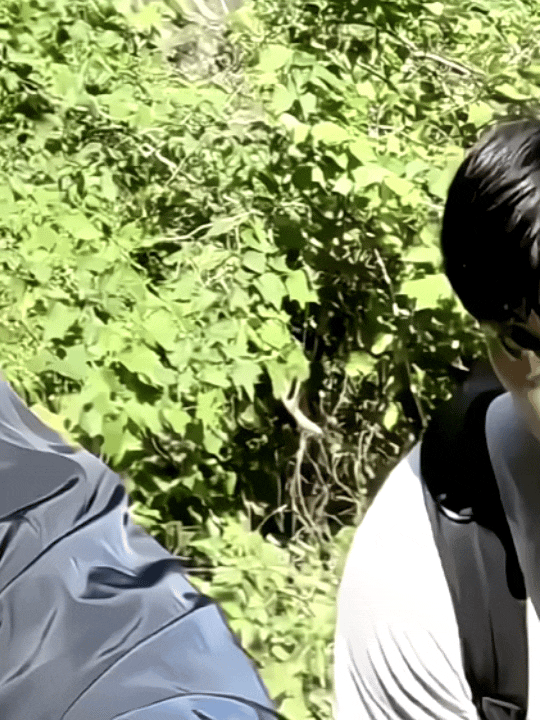 有一只萌猪去徒步了今天汪顺