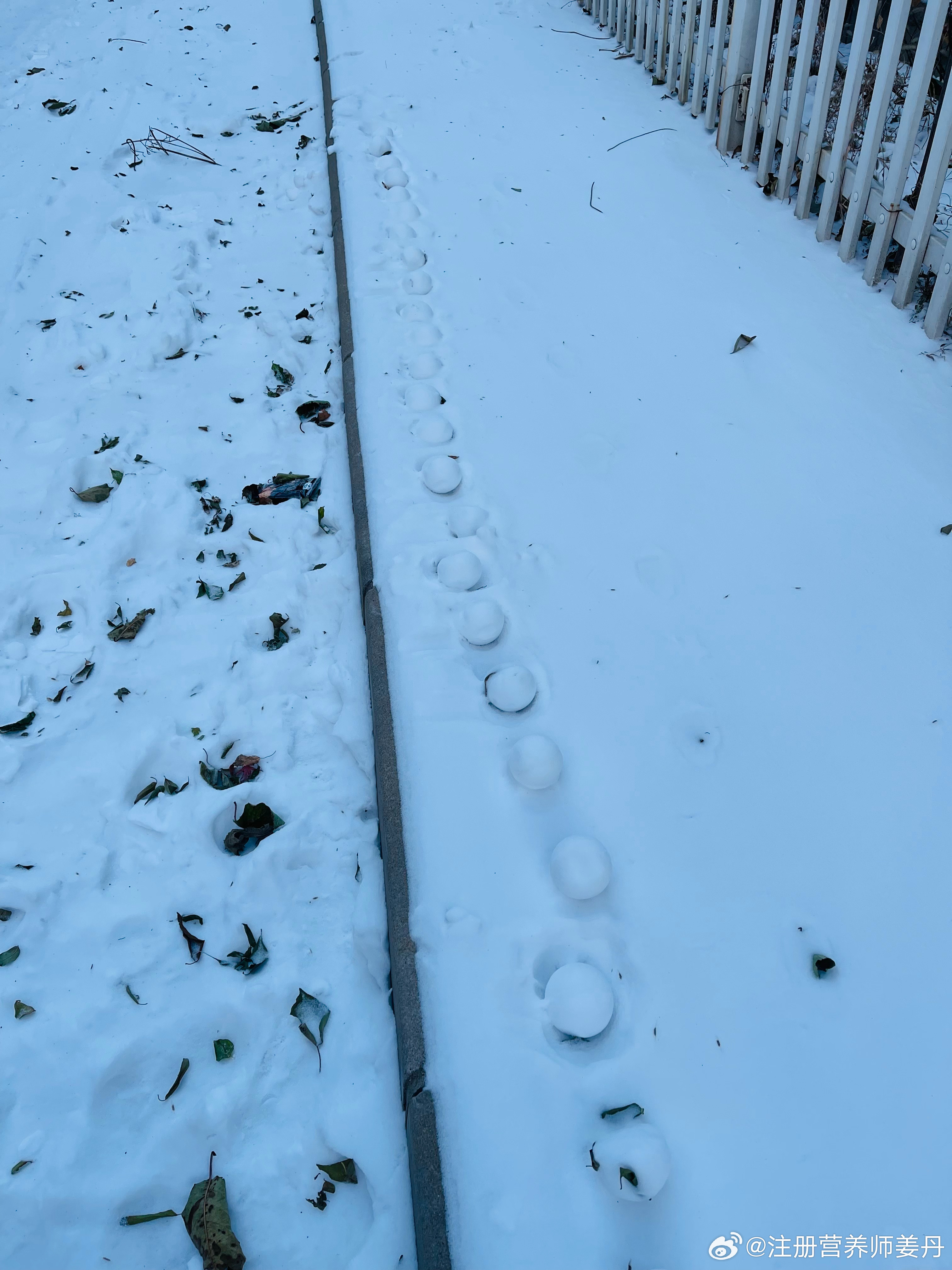 早上出门，昨晚孩子们一起做的雪球还在，哈哈哈，拾几个带在路上用于PK[允悲][允