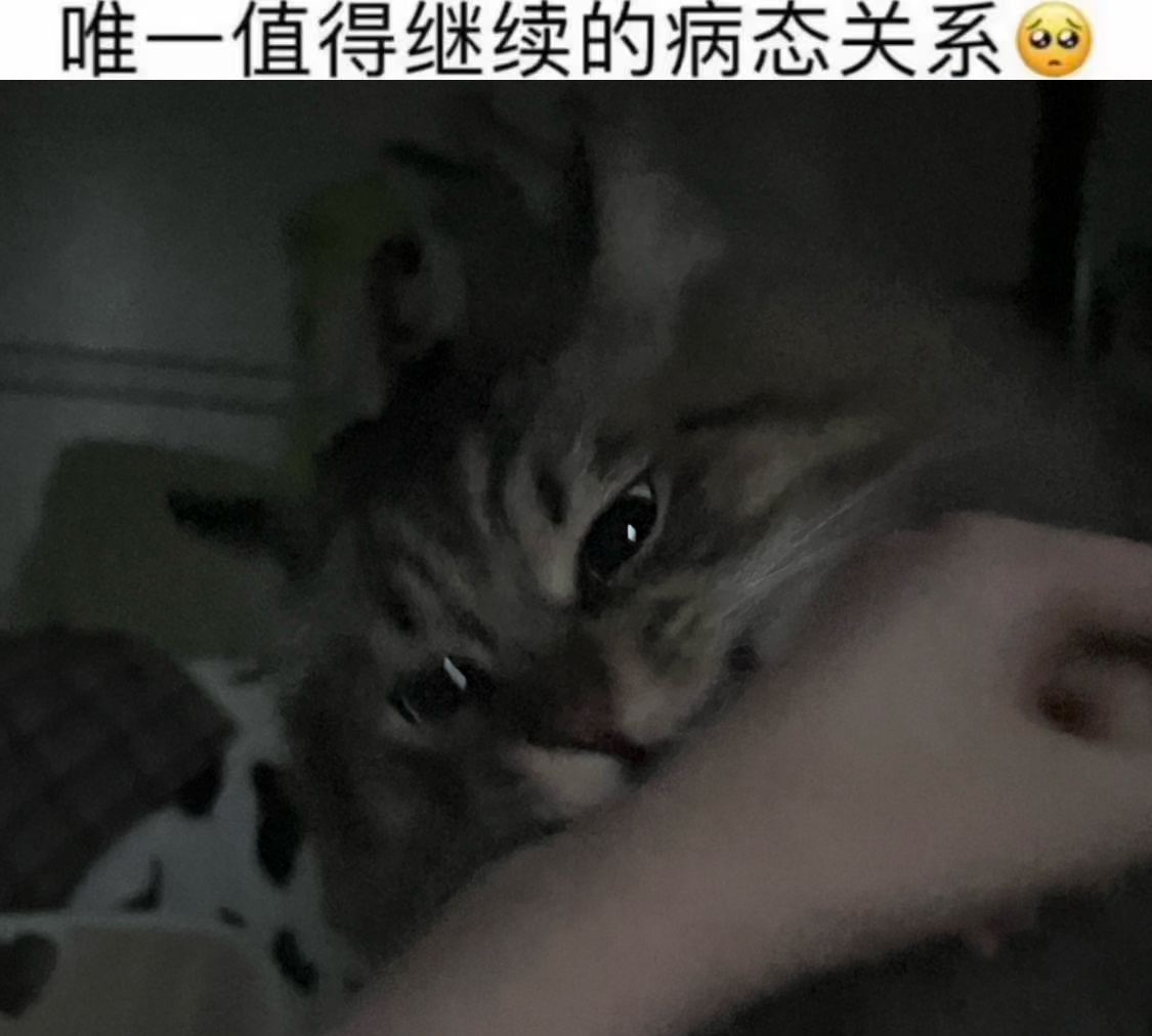 分享图片 