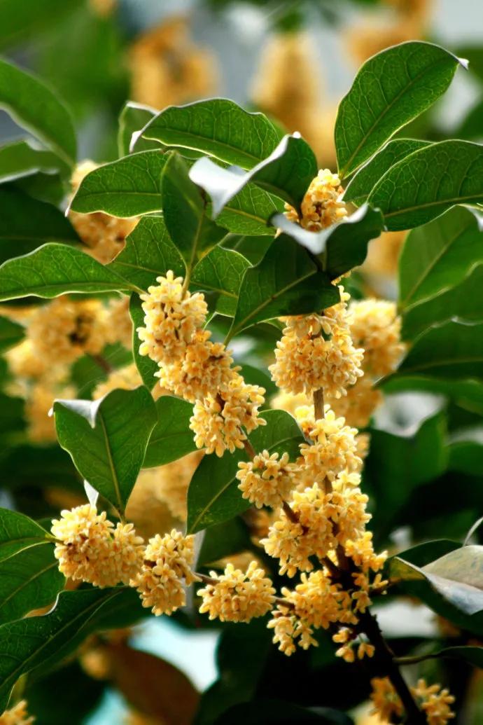 昨天买衣服发生的事情有点让人恼火。
杭州的秋天是短暂的，夏天没过去几天，就一点也