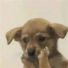 商家称36斤羊烤完剩6.9斤是正常哪里正常了？谁家羊烤完能缩二十几斤