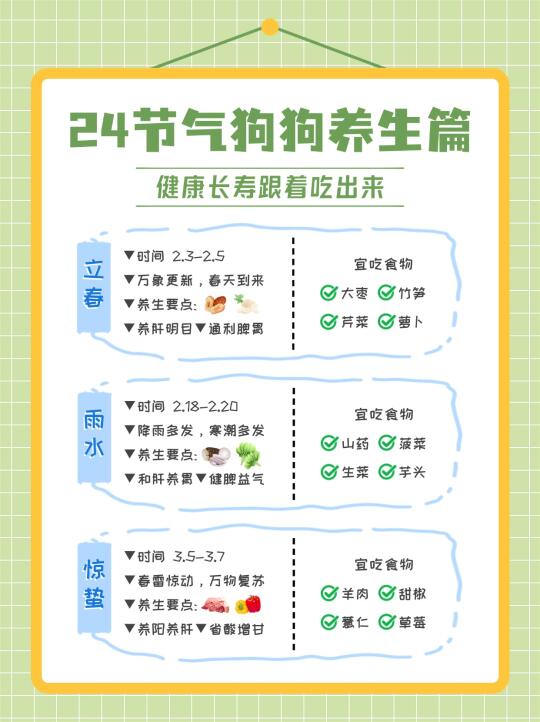 狗狗养生秘籍✨24 节气饮食全攻略