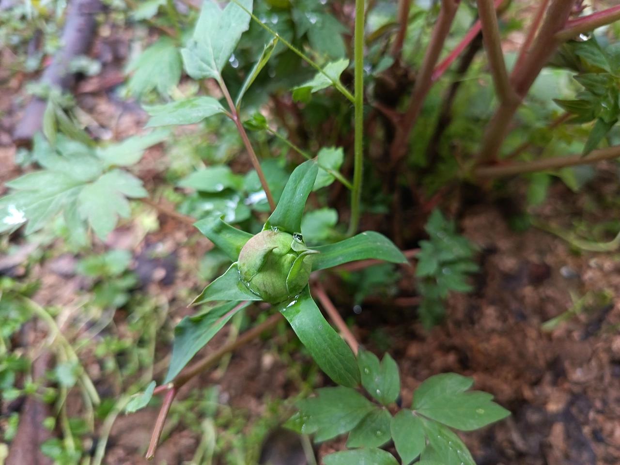 朋友，好久不见。