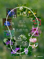 莫奈的画开在了月季上这种月季热了会脱妆月季的花色主要由三类色素决定：花青素（负责