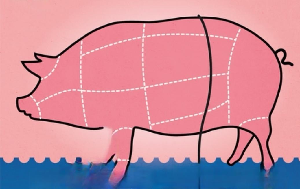 【商务部发布公告，17日起，对原产于欧盟的进口相关猪肉及猪副产品征收反倾销税】