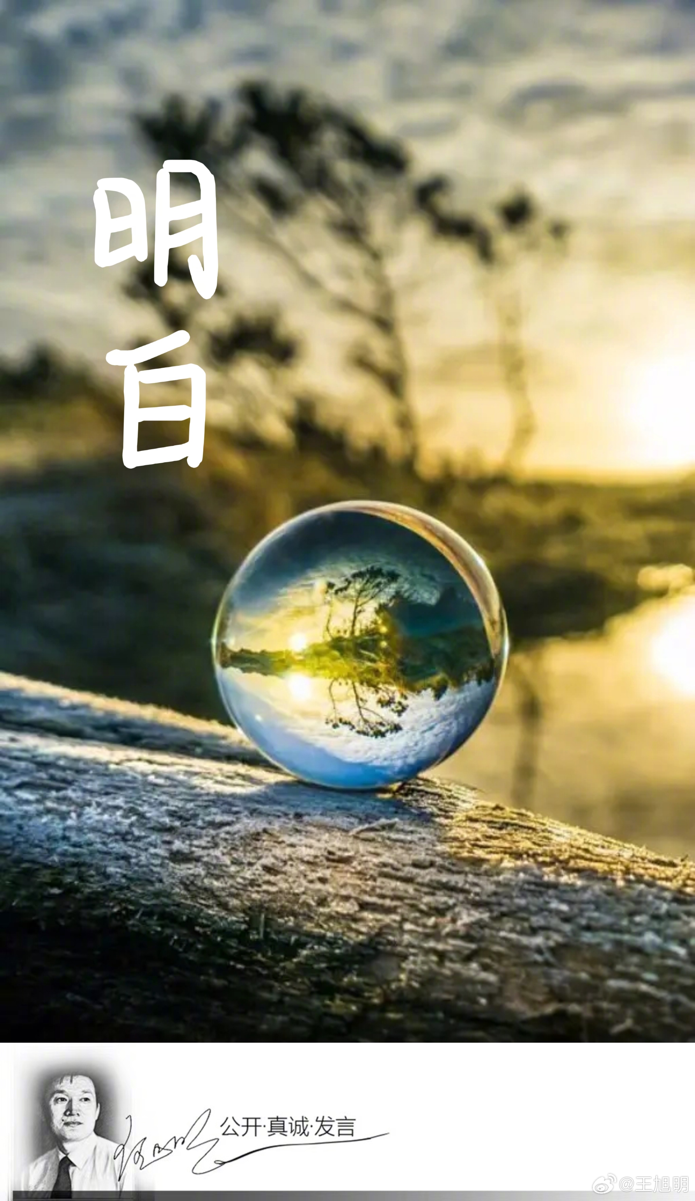 #明说真语文#我喜欢用最通俗的语言，把一个难以描状的人或者事物说清楚。例如，什么