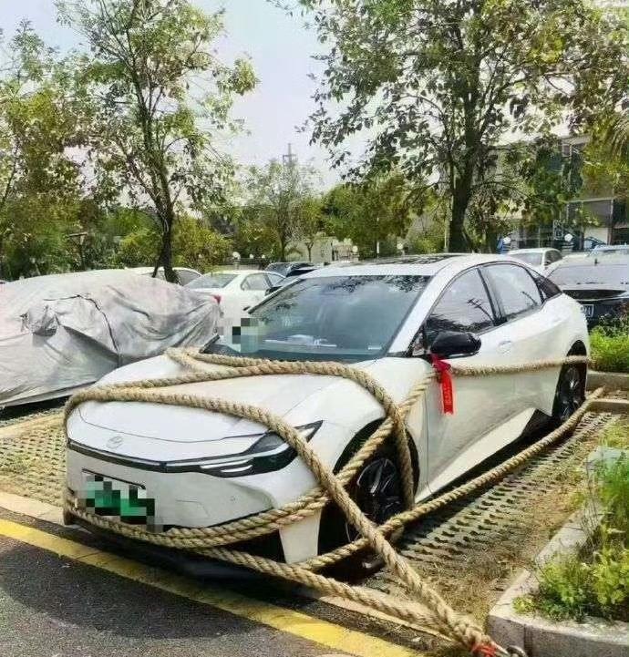 这位车主估计要气“疯”了。[捂脸]车子没被刮走，结果被树砸了。

这种情况保险会