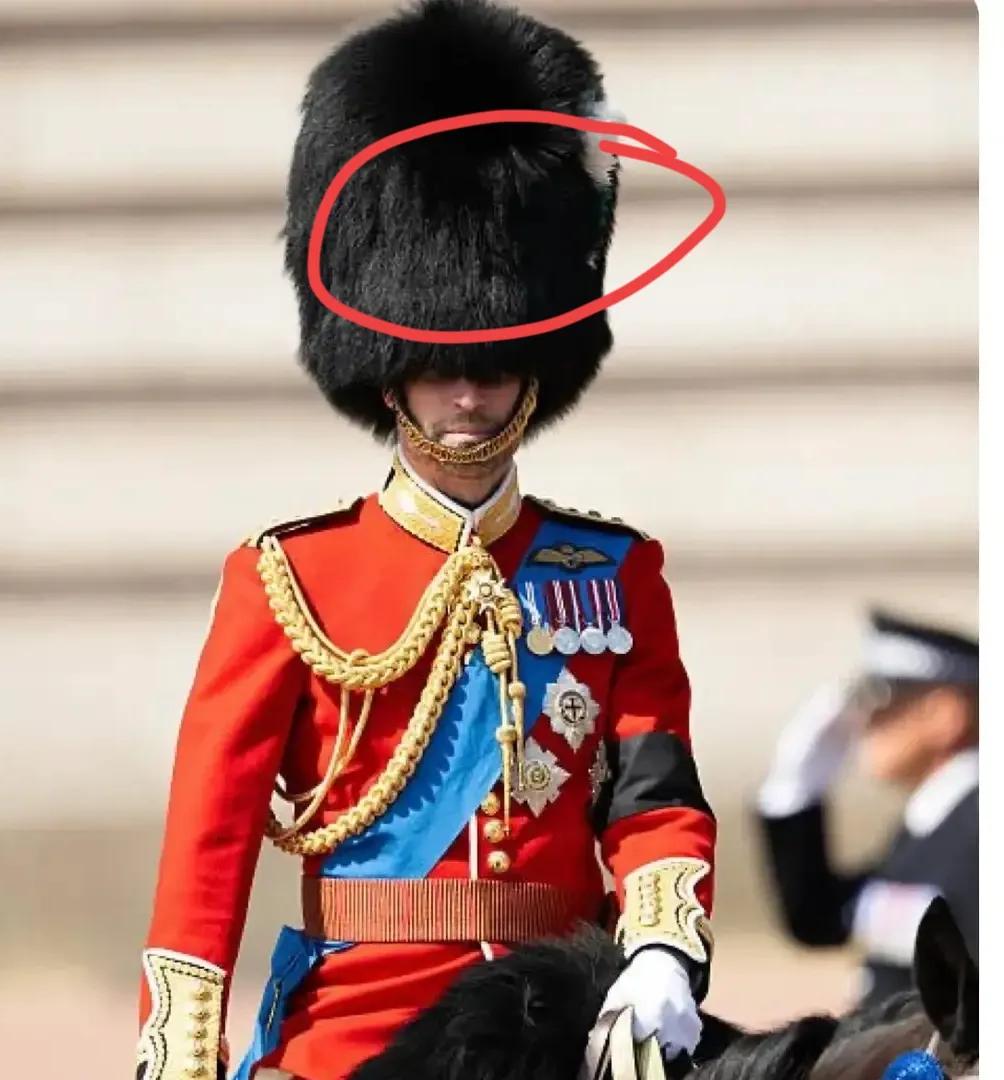 威廉戴这个帽子，难道不热吗？
英王室很神奇，每一次重要的活动，王室男士都会穿上军