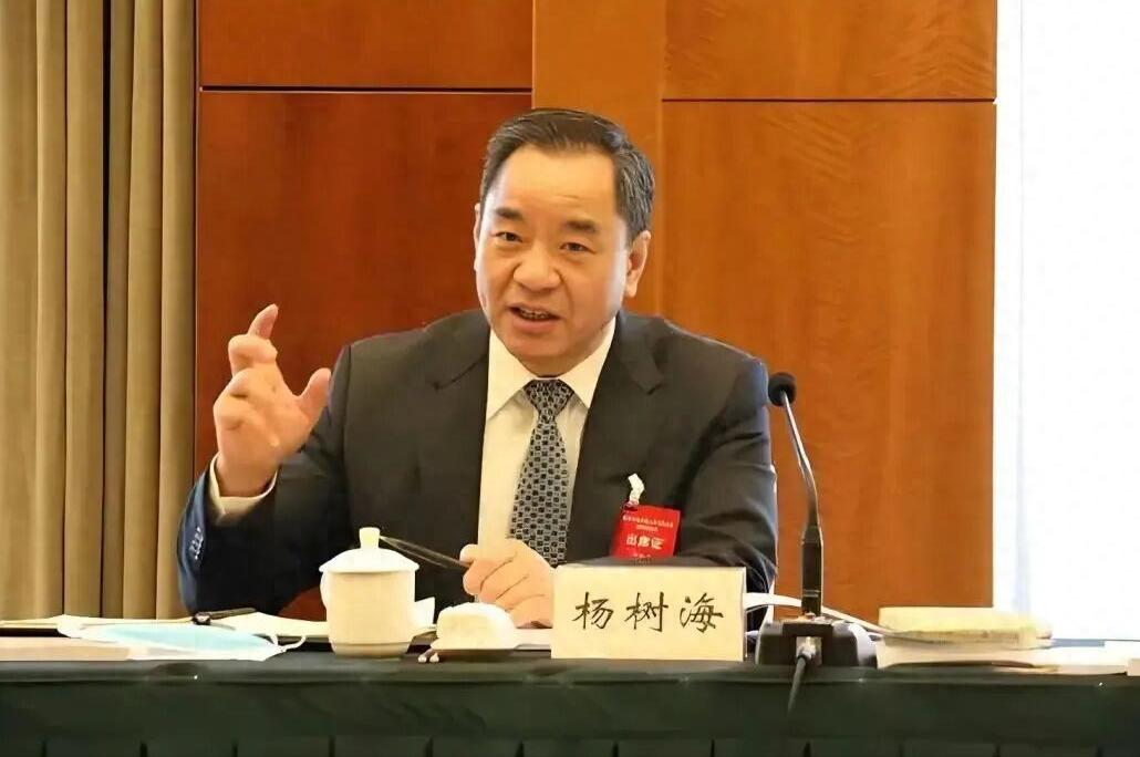 杨树海仕途的高光时刻，无疑是在奉节主政的5年间。在奉节，他曾化身店小二走进直播间