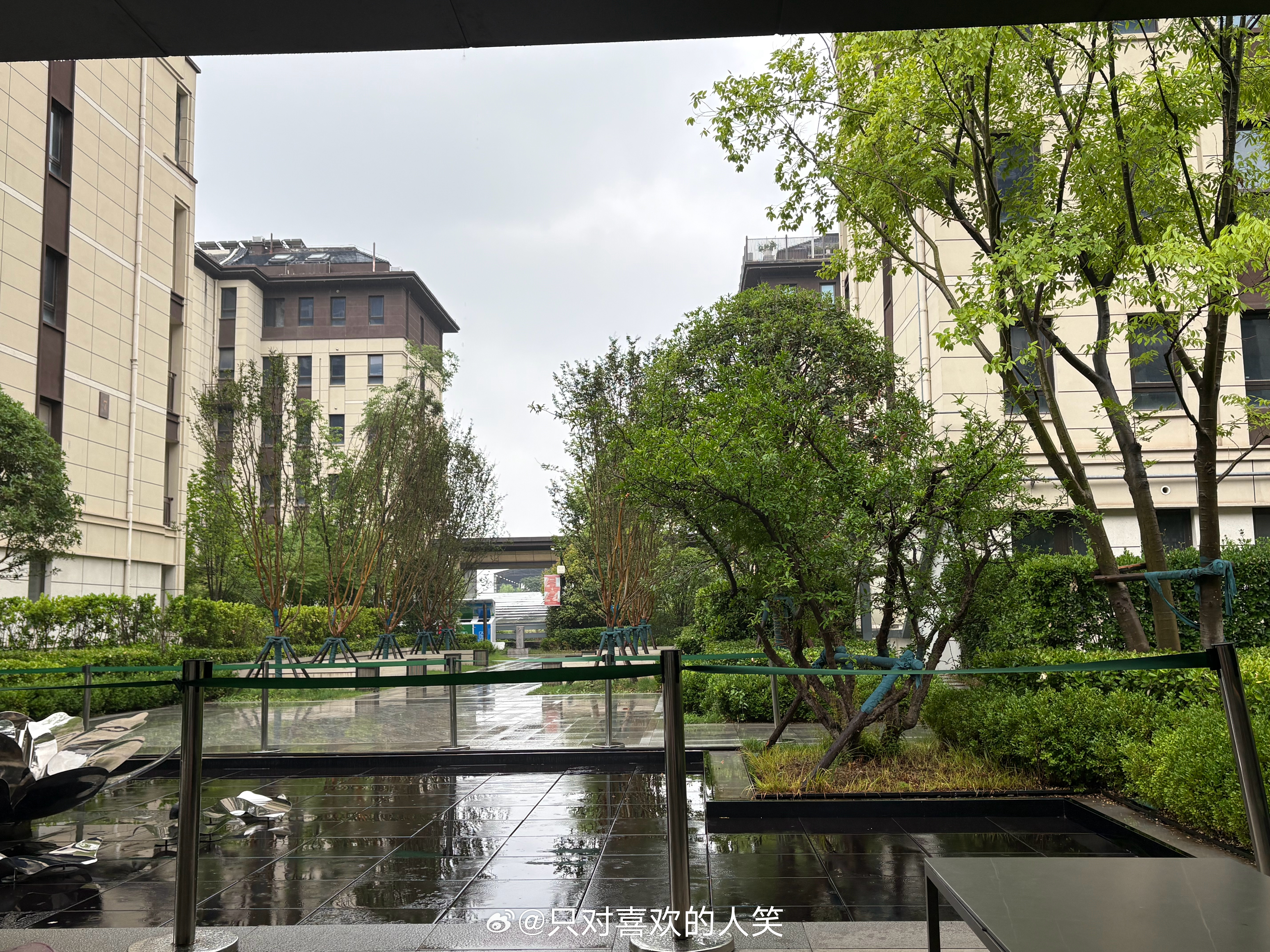 雨天别有一番景象～ 