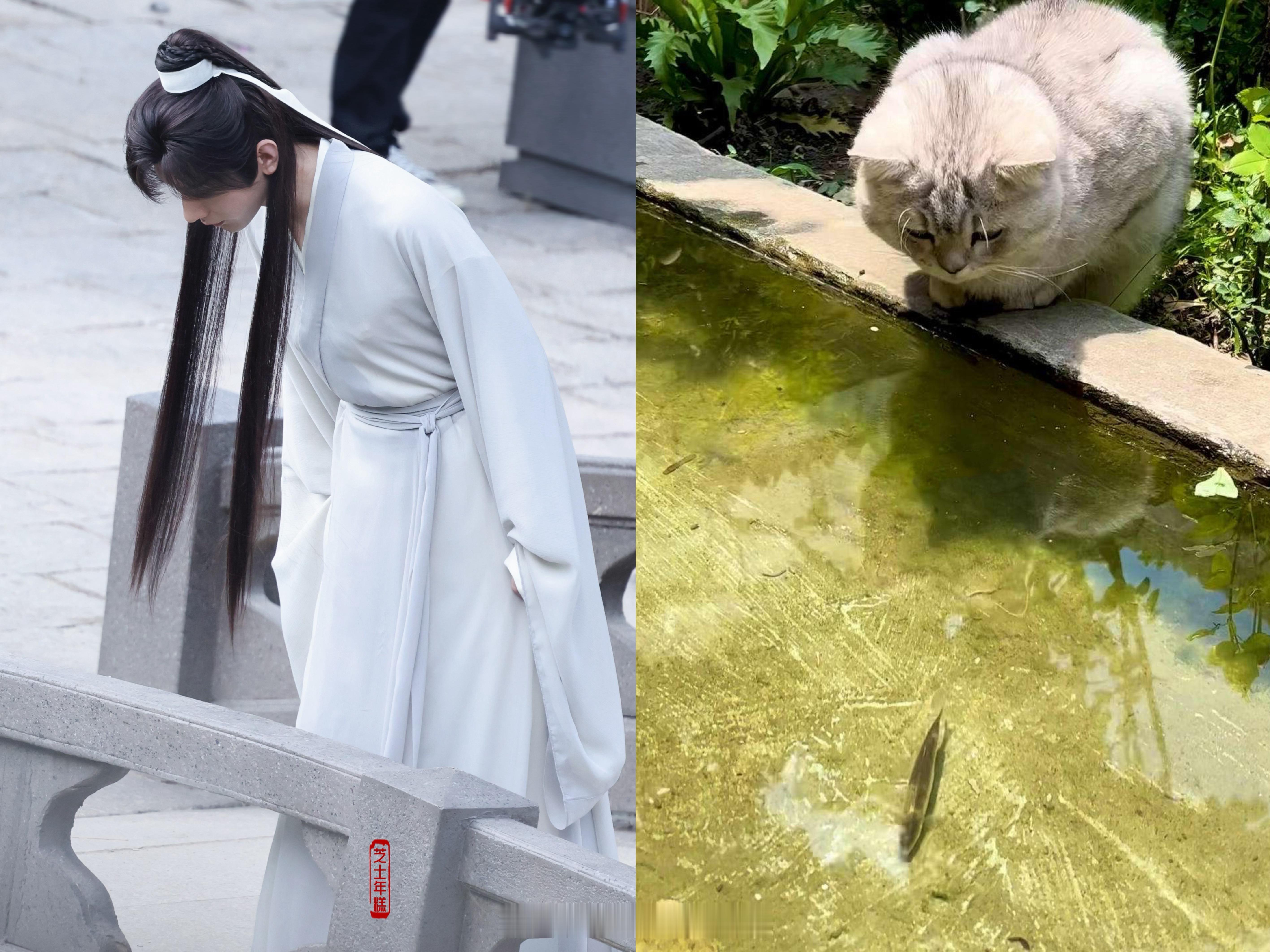 一模一样🐱 ​​​