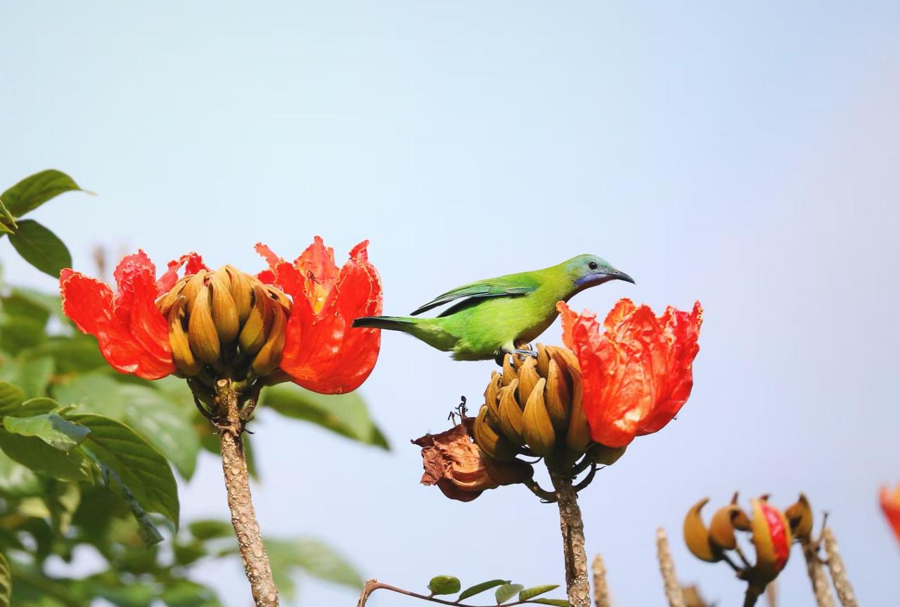 反正不去日本旅游，该做的正事儿多着呢！好好陪陪家人，教育好下一代，让孩子们了解一
