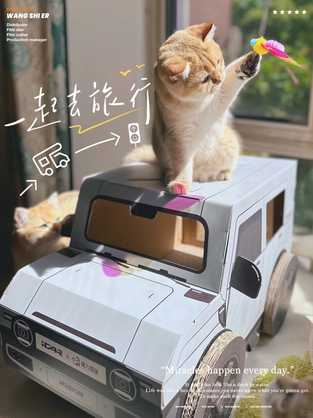 多猫家庭｜有车有房🚗