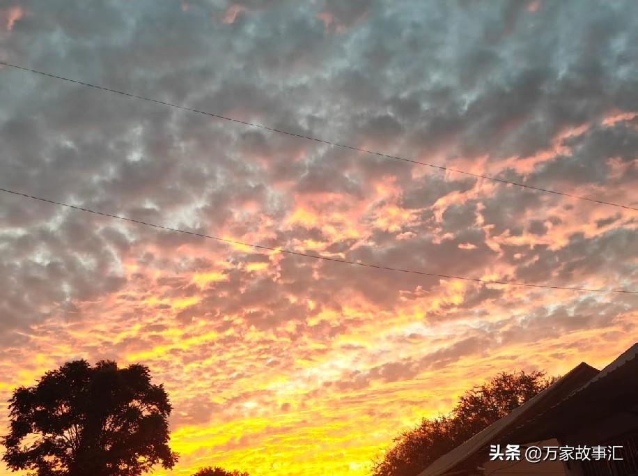 我这辈子没啥大本事，最令我感到荣耀的事，就是认了三个干闺女，说起来，头两个还是我