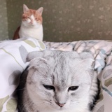 糯颖侃体育