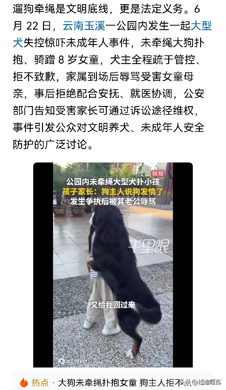 看到这个视频，真是气的不行！
一个大狗扑向了十几岁的小女孩身上，狗主人就在旁边既