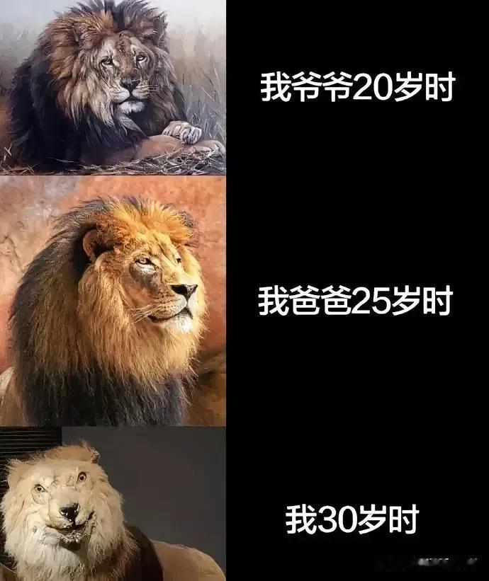 现实就是这样的