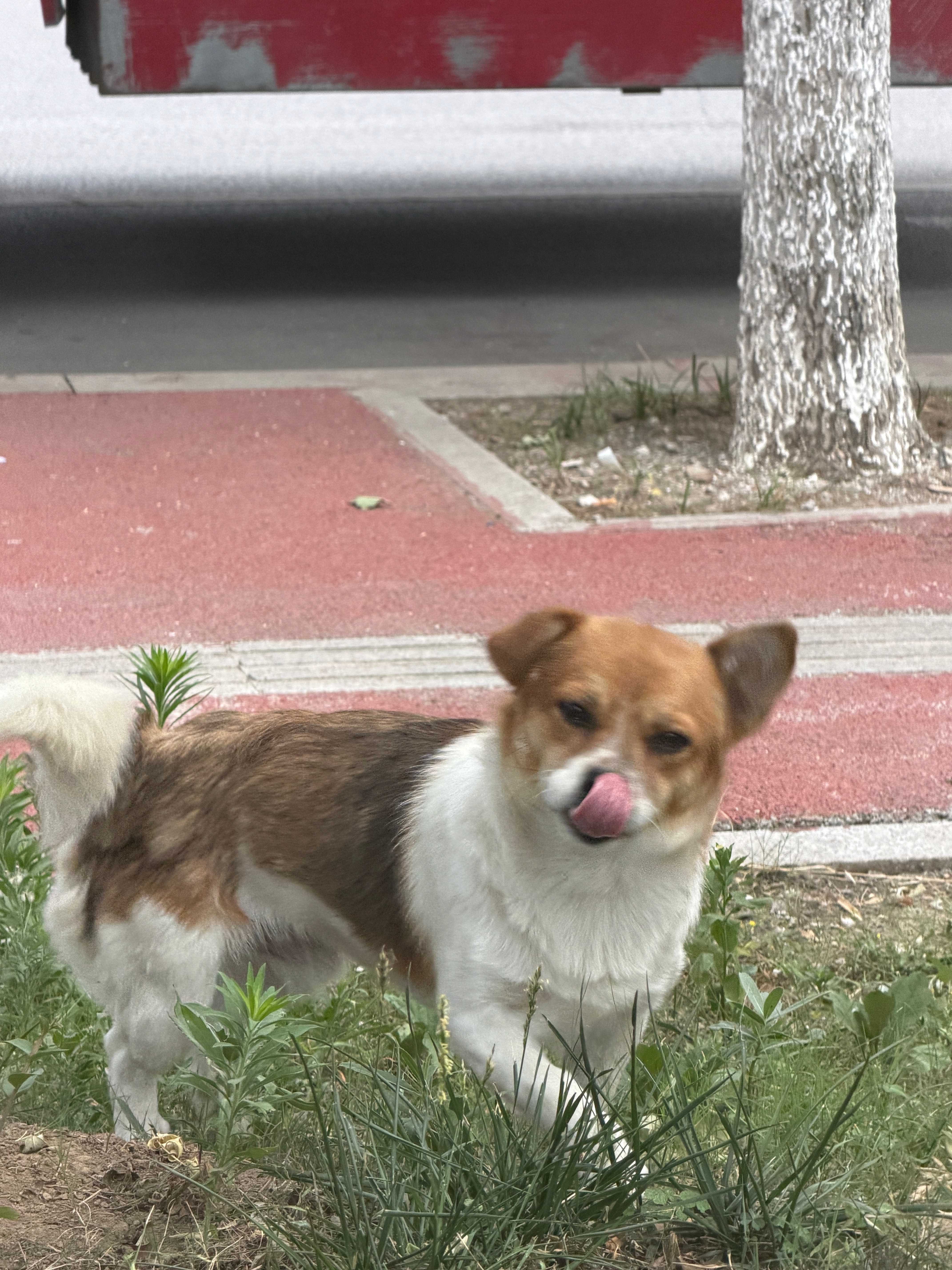 要永远相信苹果的实况哈哈哈哈哈 