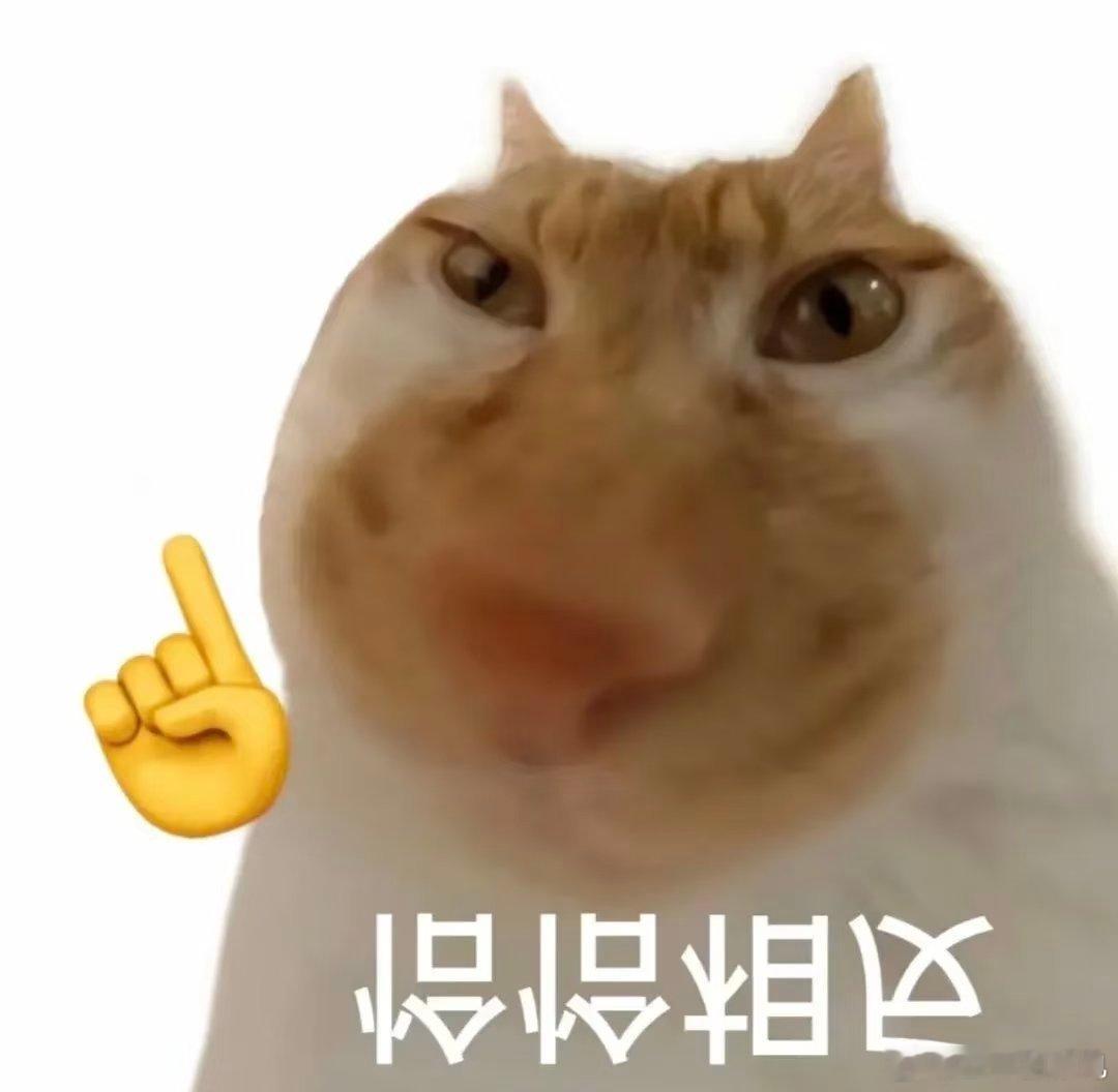 我心态渐渐变得平和了，不再去追求自己喜欢的品牌天下第一，处处吊打友商，就好像接受