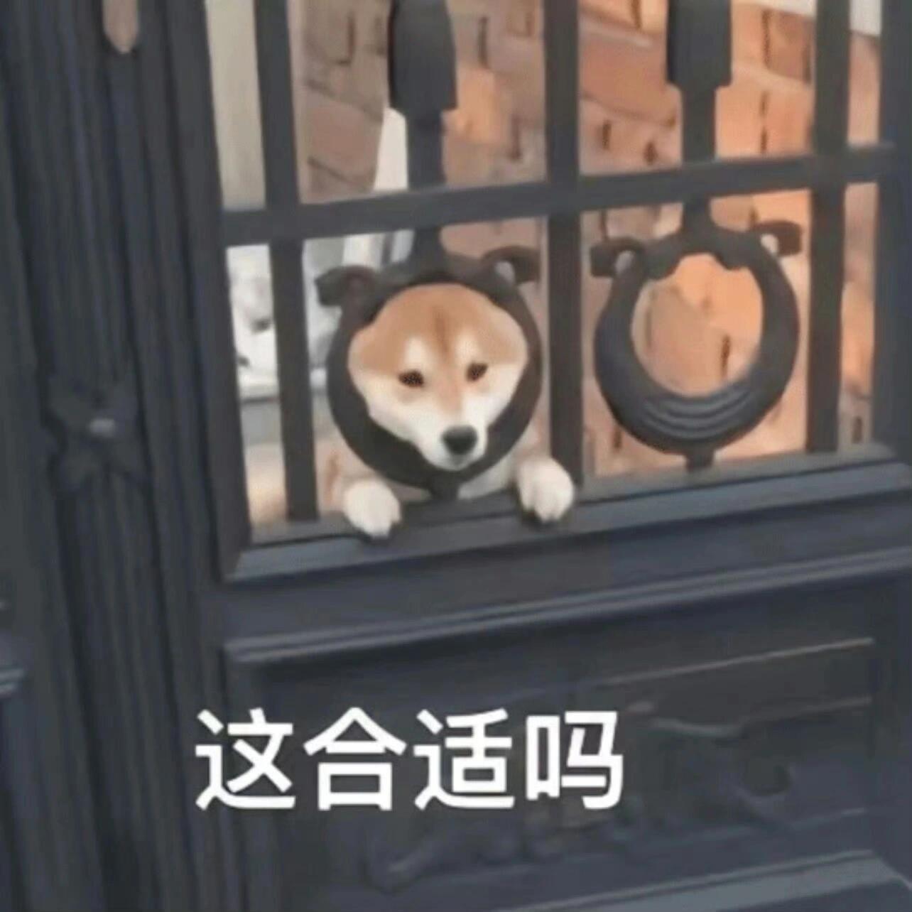 终于舍得买商务舱，但在安检喝了12杯酸奶真的被自己气笑了。本来为了家人们旅游舒服