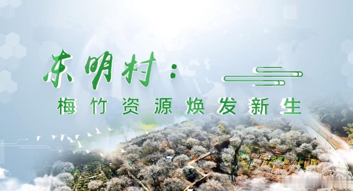 你以为竹编只能是老旧的农具？来东明村看看，什么叫“手艺与时代的对话”！在思远合作