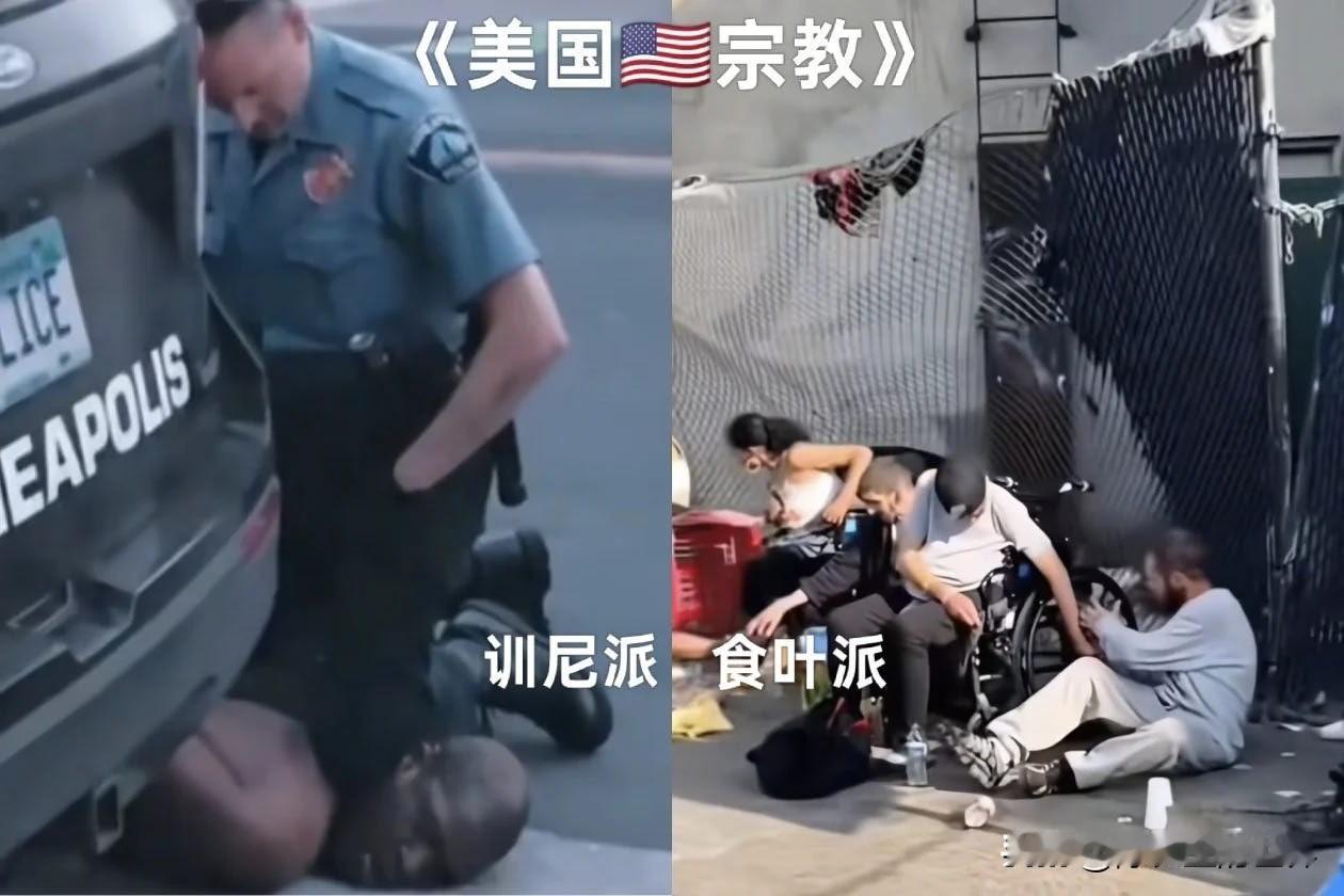 没什么活了，给大家乐一乐[呲牙]