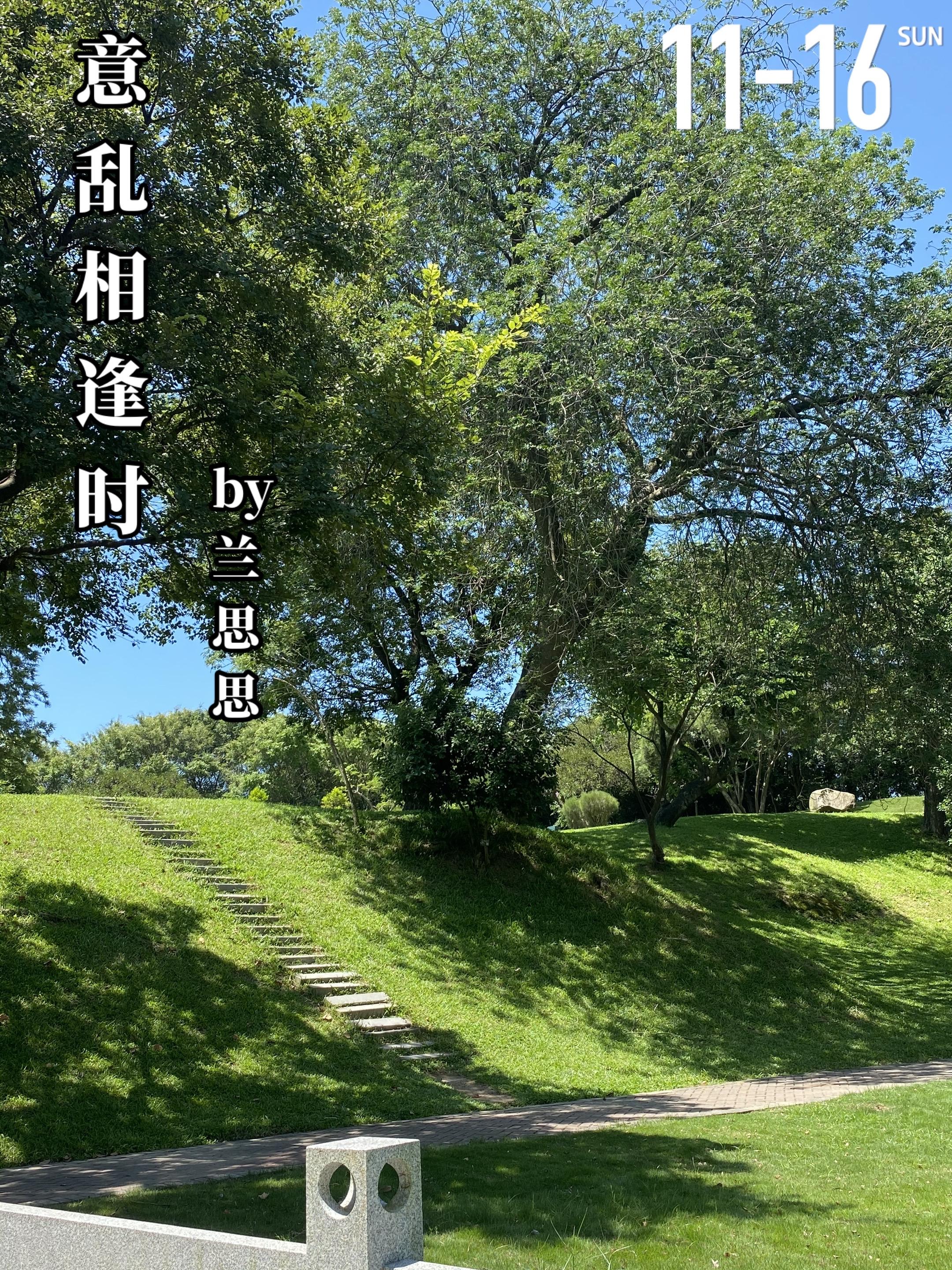 《意乱相逢时》by兰思思。杜悦（女主）和许晖（男主）的纠葛始于一场41...